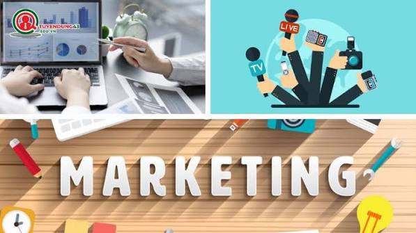Thị Trường Việc Làm Ngành Marketing Đà Nẵng